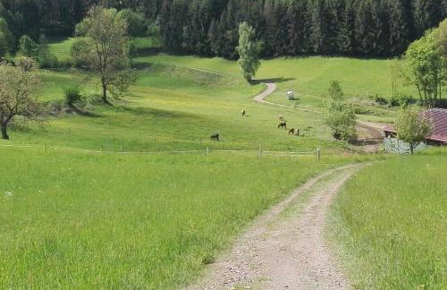 1-Zimmer-Studio am Waldrand - Photo 14