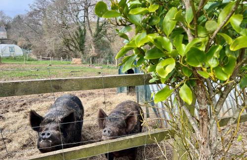 The Shepherds Snug - Photo 19