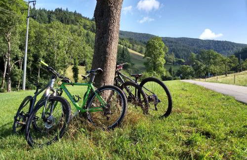 de Vinkenborg 8 pers nabij Winterberg - Foto 12