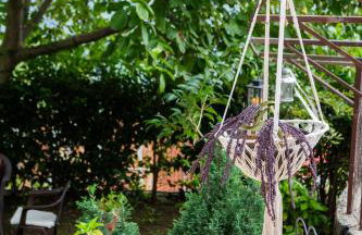 Άγρια Λούλουδα Κατοικία Αρμονία - Photo 40