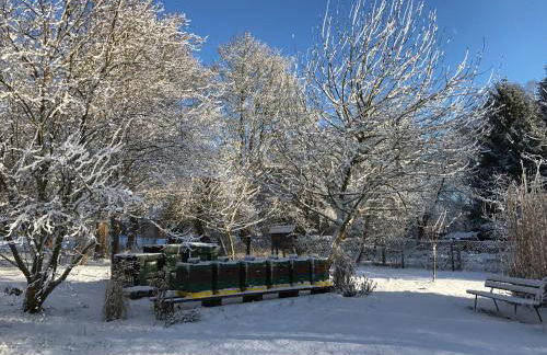 Ferienwohnungen direkt am Wasser - Photo 30