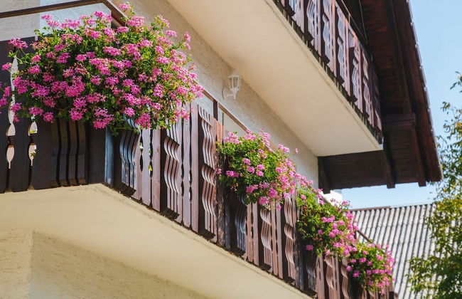 Apartments Lake Bohinj Medja - Foto 67