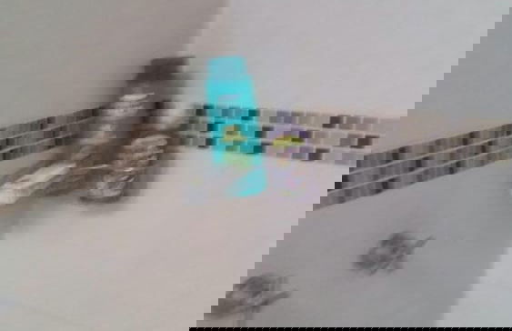 Guadalupe Inn House - Foto 20