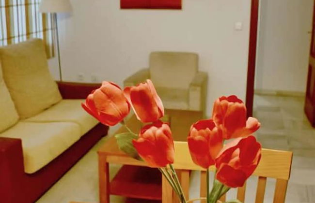 Casa Palacio Luna - Foto 13