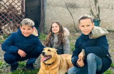 Appt 1er étage avec jardin partagé - Photo 10