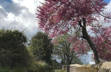 Art-Marvão, Alojamento Rural - Photo 33