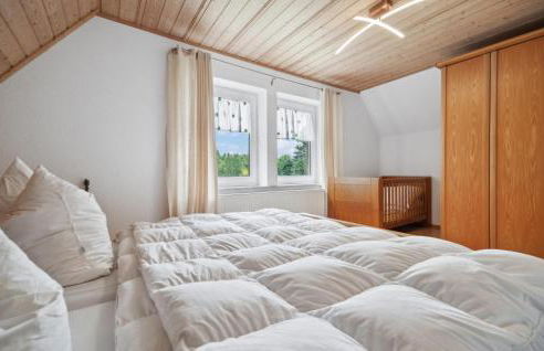 Cozy Home In Bad Brambach With Sauna - Foto 15