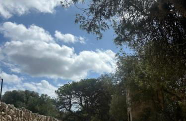 Agroturismo Matxani Gran - Foto 56