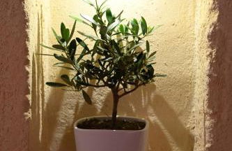 Pietrabianca Apartments San Lorenzo - Foto 16