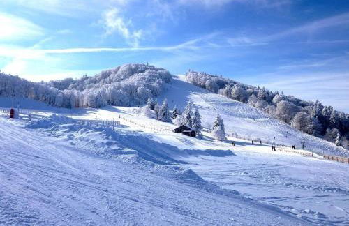 Gîte paisible au pied du Bassin de Champagney, animaux acceptés - FR-1-583-372 - Foto 29