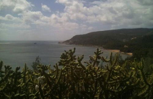 Páteo da Memória Casa do Pintor - Foto 38