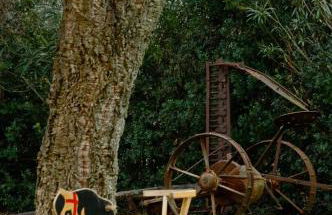 Agriturismo Ristorante Monte Argentario - Foto 94