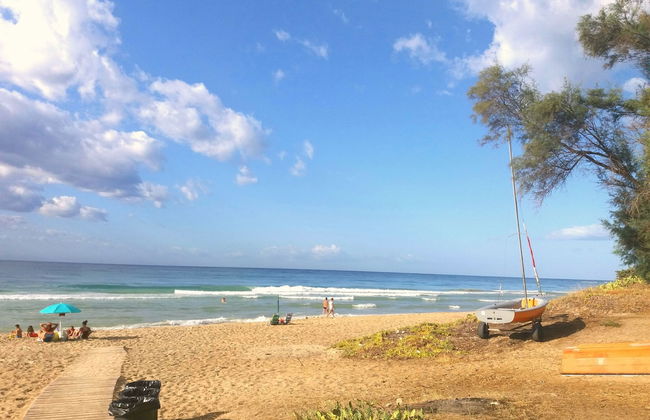 Casa Noscia - San Pietro in Bevagna - Foto 1