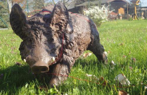 Cologne Country Lodge - Foto 49