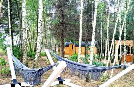 Świerkowisko cisza las plaża blisko - Foto 18