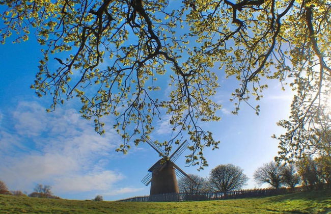 White Roses a dog Friendly Retreat for two - Foto 31