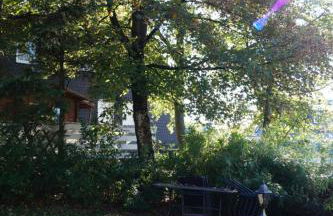 Astentraum - Photo 22