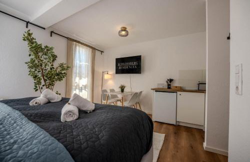 Schlossberg Residences Design City-Apartments Heppenheim - Foto 49