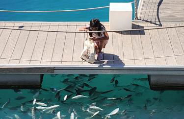 Bahia Sol Deluxe - Photo 39