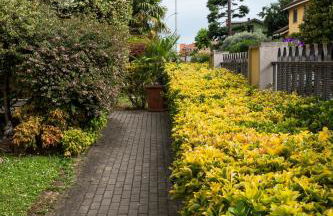 New Inn Residence - Foto 57