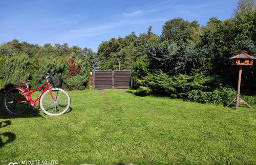 Miły Domek Sasino - Foto 9