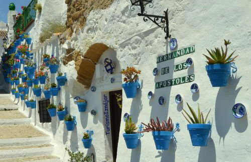 Cortijo de la Cruz - Foto 19