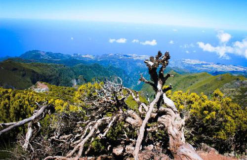 Villa SCIROCCO Madeira - Ocean View - Foto 56