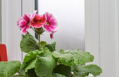 22 Constable Road - Foto 17