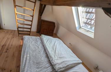 Cozy apartment in Rosenthal - Photo 3