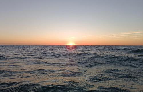 Domaine D'Erras - la bergeronnette - Foto 20