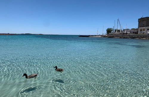 Il Canaletto Apartments - Foto 43