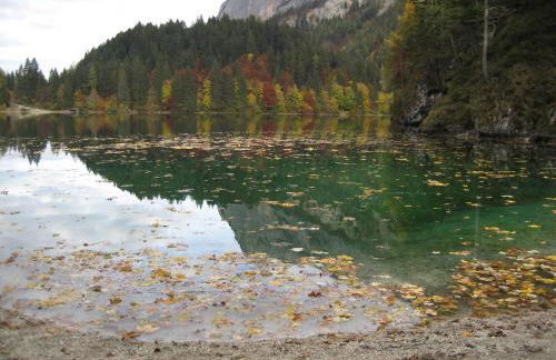 Il Granello - Foto 33