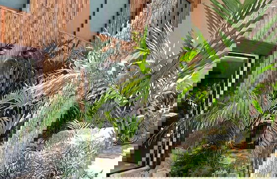 Family & Couples HARMONIA Suites in Tulum - Photo 14