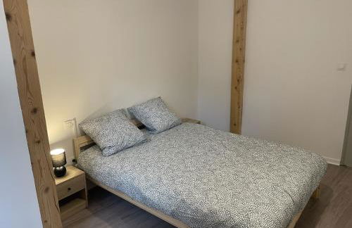 Hyper centre Saint-Gaudens appartement neuf - Foto 8