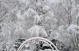 Woodland studio - Foto 13