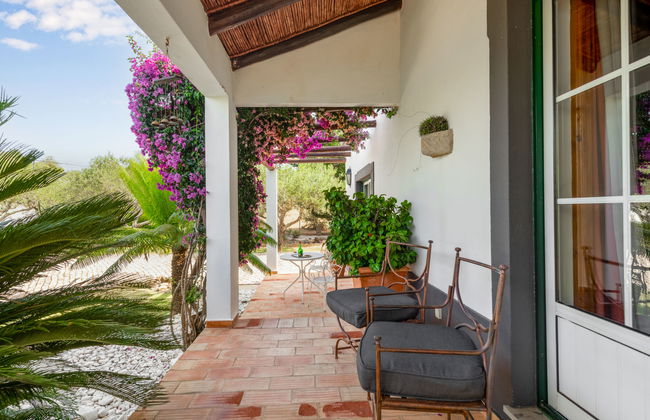 Quintal das Oliveiras - Foto 32