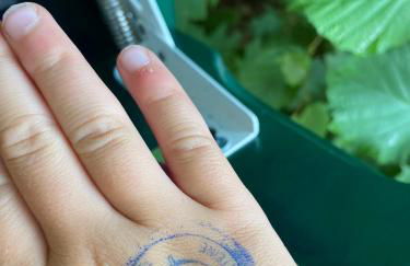 Ferienhof Morich - Urlaub auf dem Bauernhof im Harz - Foto 33