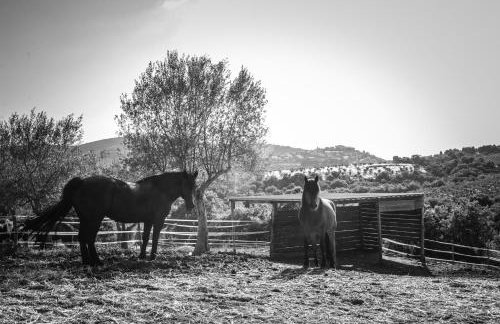 Agriturismo Vocabolo Poggio del Pero - Foto 25