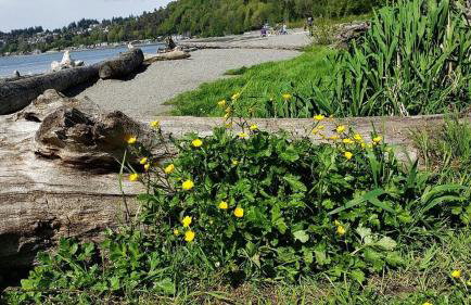 Spacious Retreat 3 Miles to Airport 12 to Seattle - Foto 33