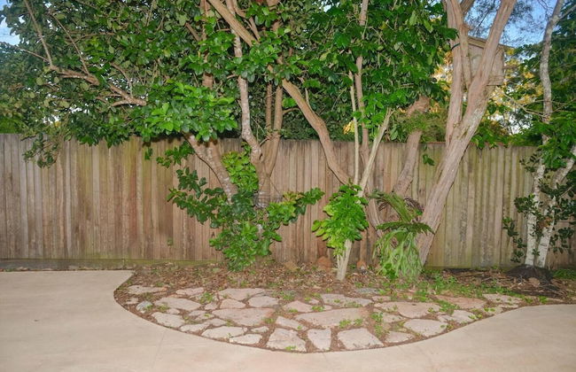 Maleny District - Charming Cottage in Witta 2 Beds - Foto 17