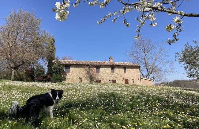 Il Nascondiglio - The Hideaway - Foto 61