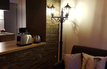 Séjour de charme au cœur de Tours avec extérieur - Foto 23