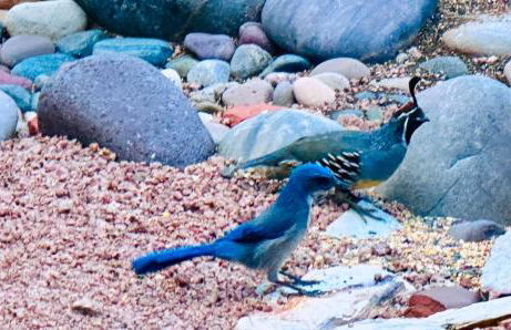 Sedona StarGazing Retreat Glowing Red Rock views - Foto 58