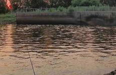 Southern Magnolia House with Porch Swing - Foto 19