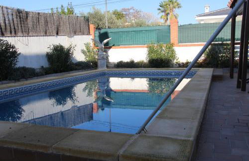 Studio Tropical - Foto 12