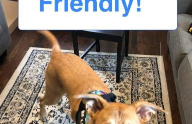 Housepitality- The Bungalow -2 BR - Foto 22