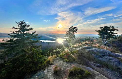 Am Wäldchen - Foto 34