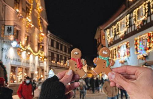 L'Adresse Studio Rempart sud - centre historique Eguisheim - Foto 30