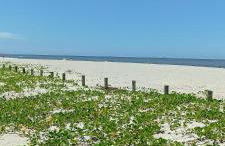 Aconchegante - Foto 39