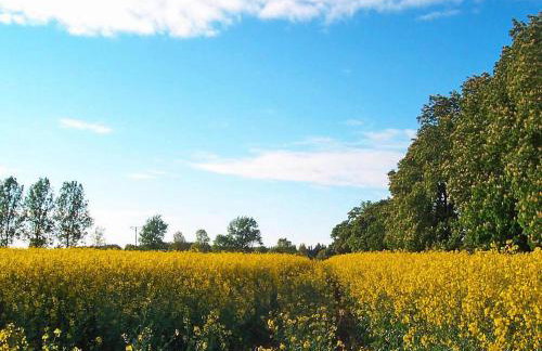 Holiday Home Noskowo near Baltic Sea Beach - Foto 23